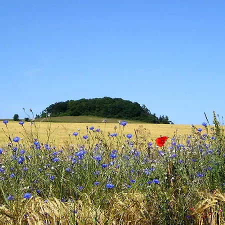 Mit Traumhaftem Meerblick - Haus Am 09 Apartmán